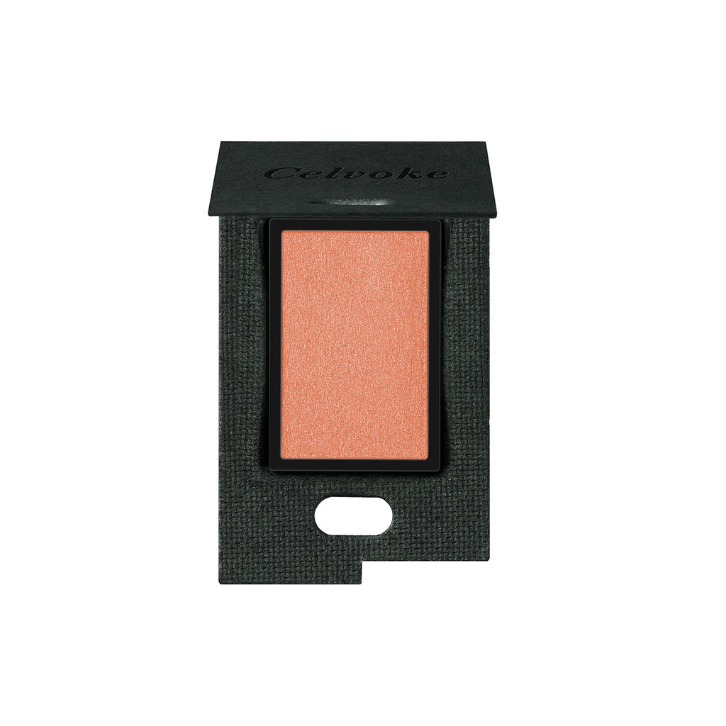 Close-up of Celvoke Vatic Eyes makeup showcasing elegant eye shadow shades for a sophisticated look