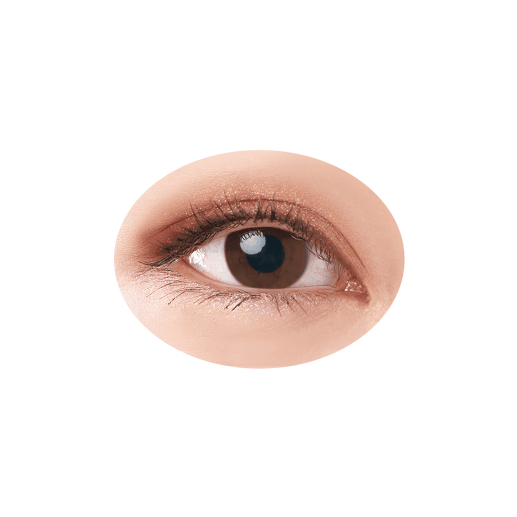 Eye makeup look using Cezanne Beige Tone Eye Shadow, emphasizing eyelid depth with a seamless blend of beige tones.