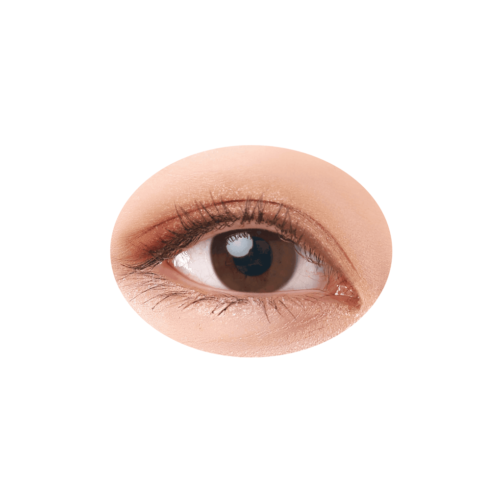 Natural eye makeup look created with Cezanne Beige Tone Eye Shadow, showcasing a soft and deep beige-toned finish.