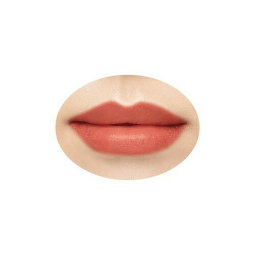 Cezanne Lasting Lip Color N offering long-lasting lip color for vibrant, enduring wear